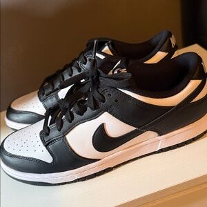 BRAND NEW! Nike low dunks